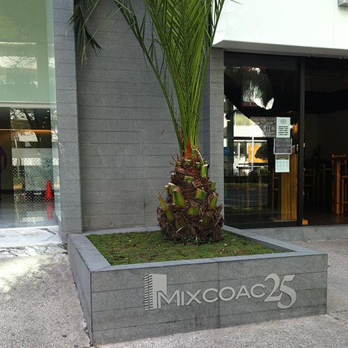 mixcoac 25