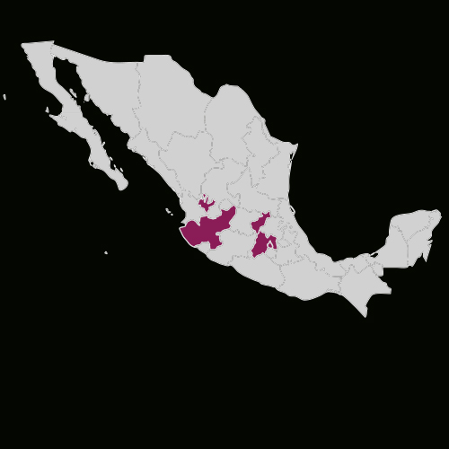 cinetop ecatepec